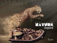 ORIGINAL LEOPARD SKIN BALOCHI (Made with Original Leopard Leather)